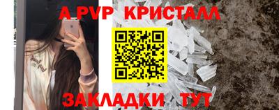 хмурый Тара