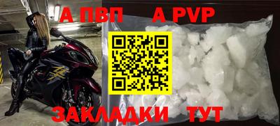 хмурый Тара