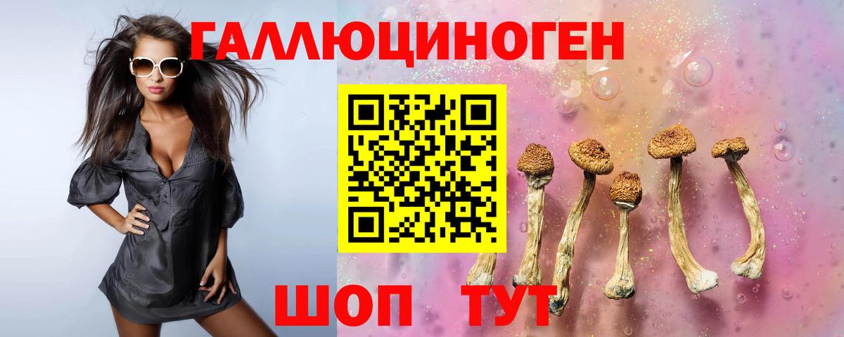 Артём  Галлюциногенные грибы мухоморы  Вход с VPN  Галлюциногенные грибы ЛСД 